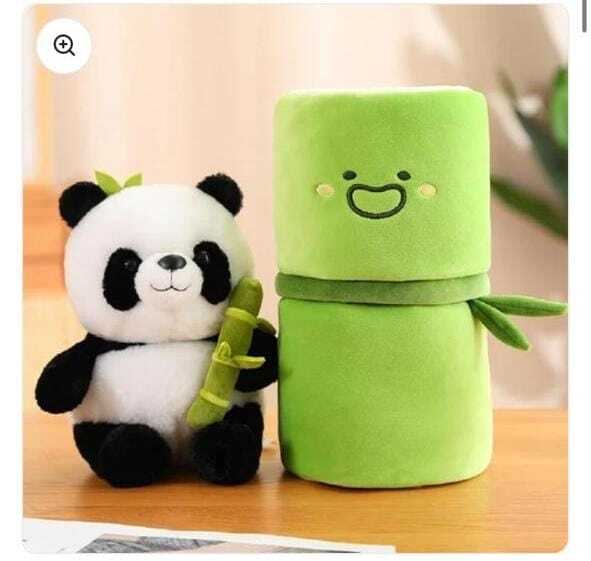 Cuddle CEO – Leading Panda
