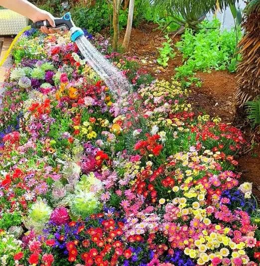 Grow Your Dream Paradise Garden with 100+ Vibrant Flower Seeds and FREE Plant Booster Inside!