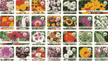 Grow Your Dream Paradise Garden with 100+ Vibrant Flower Seeds and FREE Plant Booster Inside!