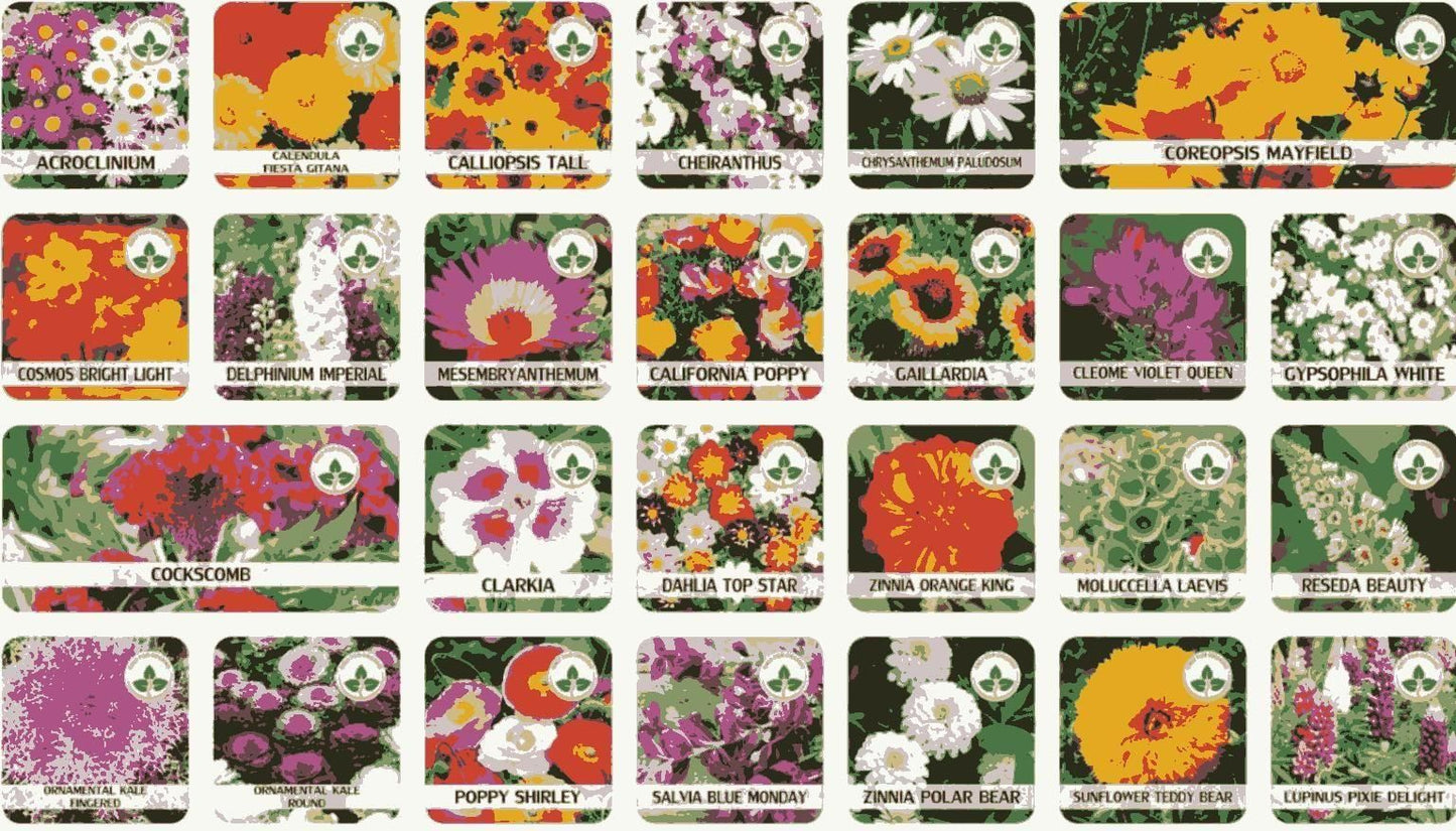 Grow Your Dream Paradise Garden with 100+ Vibrant Flower Seeds and FREE Plant Booster Inside!